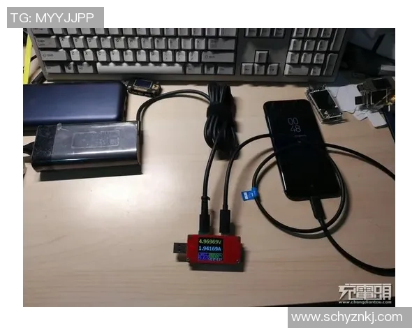 红桃国际多平台兼容性测试全面解析与优化策略探讨 红桃国际多平台兼容性测试全面解析与优化策略探讨