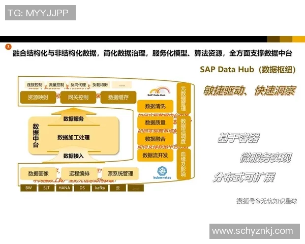巅峰国际数据中台能力建设助力企业数字化转型与智能决策优化