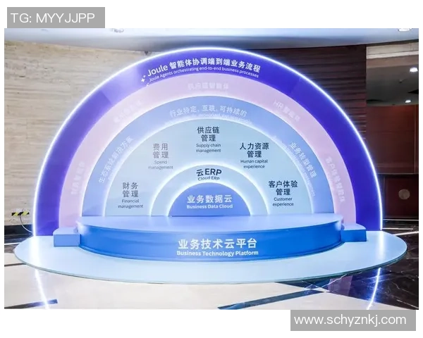 红桃国际鲁棒性AI系统助力智能决策与数据分析的创新发展之路